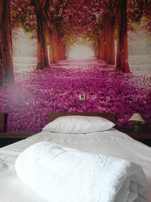 Pokoje Hotelowe Wiktoria Goczałkowice-Zdrój Extérieur photo