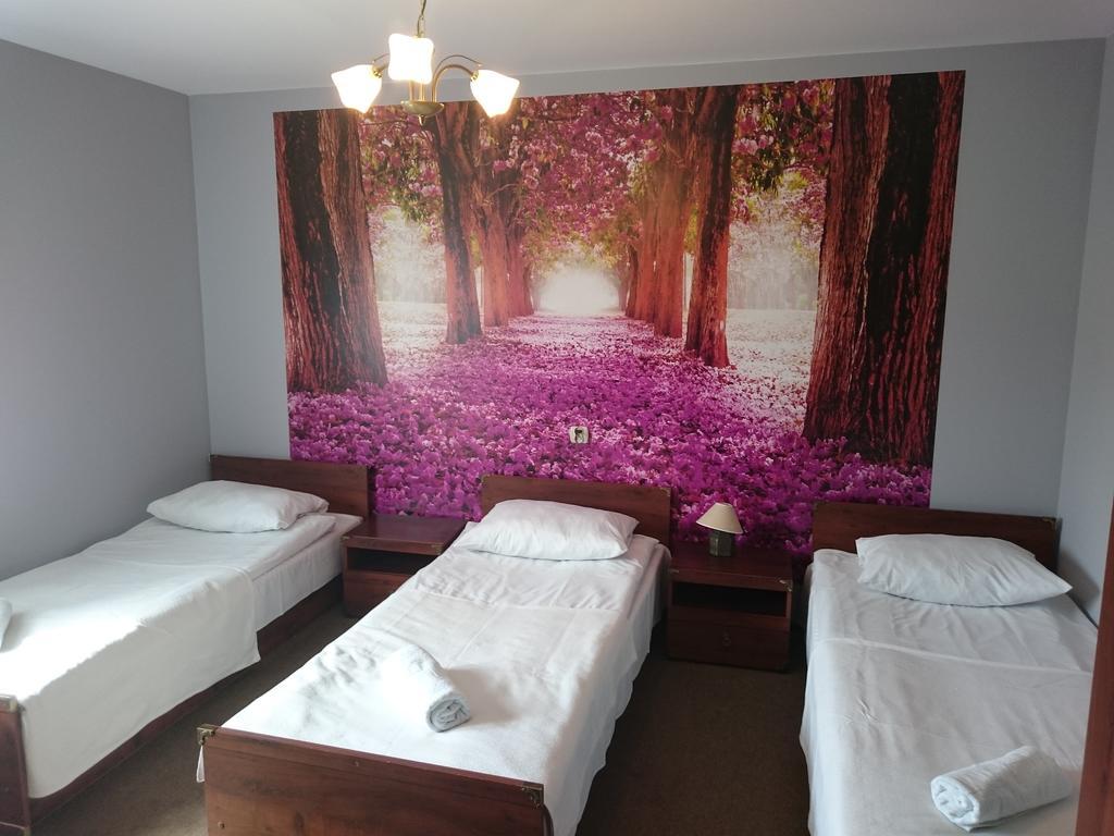 Pokoje Hotelowe Wiktoria Goczałkowice-Zdrój Extérieur photo