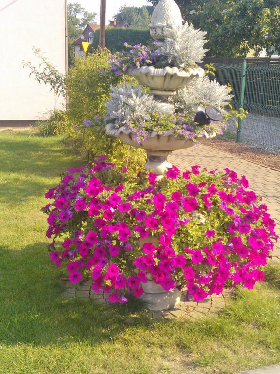 Pokoje Hotelowe Wiktoria Goczałkowice-Zdrój Extérieur photo