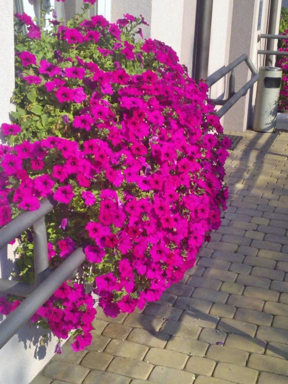 Pokoje Hotelowe Wiktoria Goczałkowice-Zdrój Extérieur photo